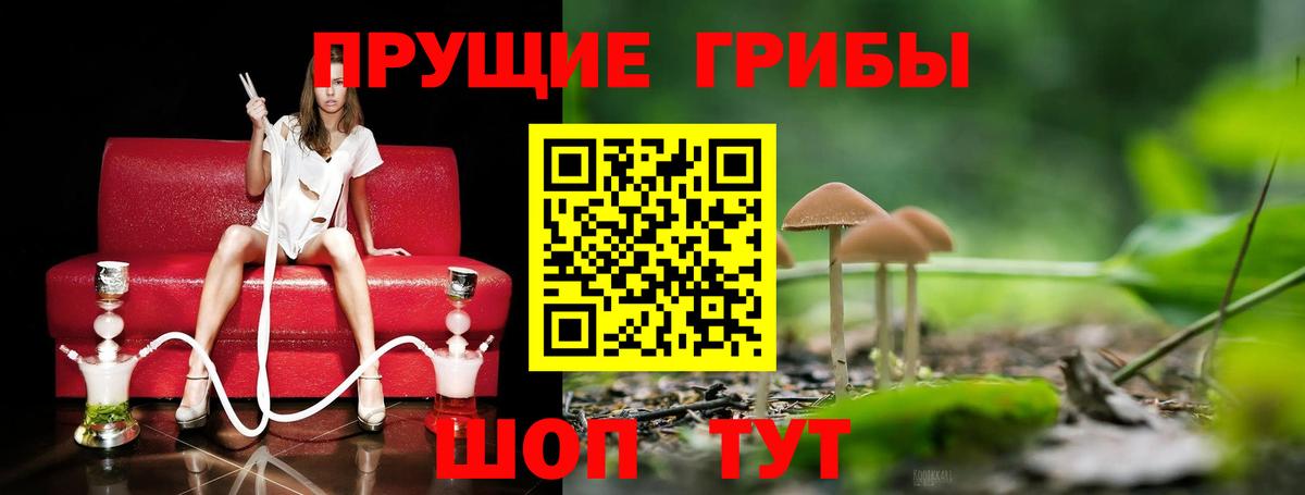 Псилоцибиновые грибы MAGIC MUSHROOMS  Вход с VPN  закладка  Волхов 